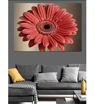 Kırmızı Gerbera Çiçek Detayı Dekoratif Kanvas - Mdf Ahşap Tablo