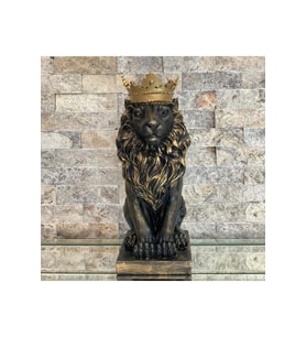 Aslan Kral Biblo
