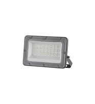 Cata LED Projektör 30W 6400K Beyaz Işık CT-4657B