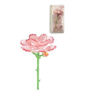 P655051 KARASNFİL 49 PARÇA BLOCK OYUNCAK