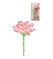 P655051 KARASNFİL 49 PARÇA BLOCK OYUNCAK