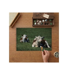 Çimenlerde Yatan İnekler Tasarımı 240 parça Ahşap Puzzle Ahşap Kutuda MP04992