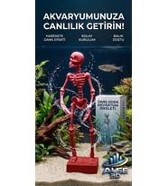 Alse Dans Eden Akvaryum İskeleti 2'li Set - Akvaryumunuzda ikili Eğlence!(Kırmızı)