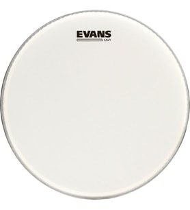 Evans Bd16uv1 16" Kick Derisi