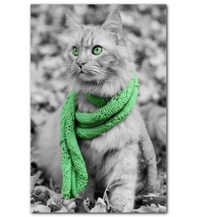 Cakatablo Yeşil Atkılı Yeşil Gözlü Karizmatik Kedi MDF Tablo