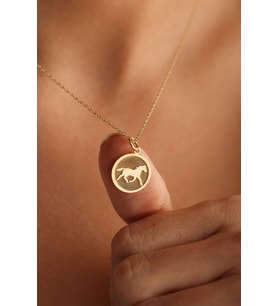 Kişiye Özel 925 Ayar Gümüş Minimal At Figürlü Kolye (Gold)