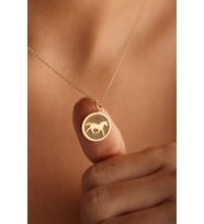 Kişiye Özel 925 Ayar Gümüş Minimal At Figürlü Kolye (Gold)