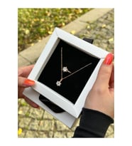 Rose Kaplama Rosalin Gümüş Set
