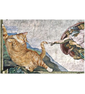 Kedi Köpek Komik Tasarımlı Dekoratif Kapı önü Paspas, Dış Mekan/Ev İçi/Banyo/Mutfak/Yatak Odası/Giriş Paspasları (Kedinin Yaratılışı, 45x70)