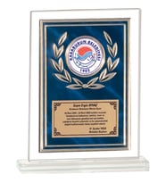 ODAK KUPA - Cam Plaketler - CM-092 A - 18x21 cm