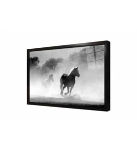 Tablosan Koşan Atlar Çerçeveli Cam Tablo