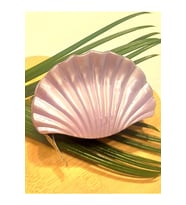 Monalisa Home 8 cm Lüks Renkli Parlak Kıstırma Toka