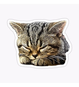 Araba Leptop için Kedi tekir Sticker Yapıştırması Etiket  17CM a5