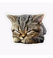 Araba Leptop için Kedi tekir Sticker Yapıştırması Etiket  17CM a5