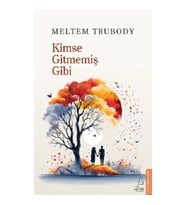 Kimse Gitmemiş Gibi