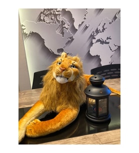 Aslan Peluş Oyuncak Büyük Boy (Çok Renkli)