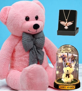 Büyük Boy Pembe Peluş Ayıcık, Kişiye Özel Led Işıklı Fanus ve Zümrüdü Anka Kuşu Kolye (Model 1)