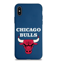 Apple iPhone X Uyumlu Lansman Kılıf Chicago Bulls Tasarımlı Altı Kapalı İçi Kadife Kaplı  Kapak (Şeffaf)
