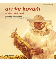 Arı ve Kovanı