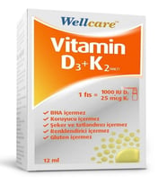 Wellcare D3k2 Oral Sprey 12 Ml 8699680510071