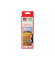 Südor Guaj Boya Şişe 12 Renk 15 ML SD525 (Karışık)