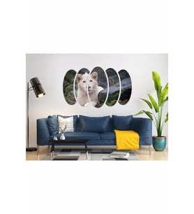 ASLAN MDF TABLO-2368
