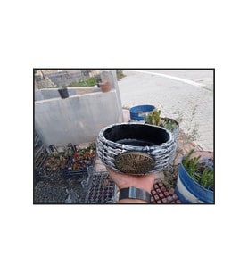 Mermer tozundan yapılma beton bonsai ve aranjman saksısı