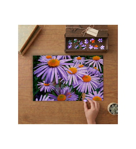 Mor Papatyalar Tasarımı 240 parça Ahşap Puzzle Ahşap Kutuda MP05943