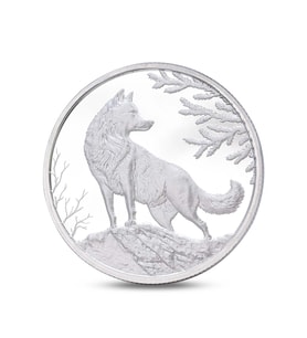 AgaKulche Kurt Gümüş Sikke Coin