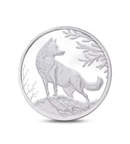 AgaKulche Kurt Gümüş Sikke Coin