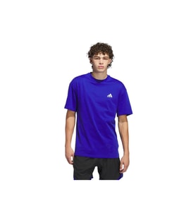 adidas Erkek  Mavi  GRAPHIC TEE (SHORT SLEEVE ADI BB GFX TEE JN7110