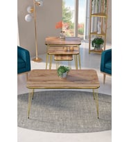 Zigon Sehpa Kr Ve Orta Sehpa Kr Set Çift Gold Krem Tel 1114
