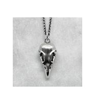 Gotik Kuş Kafası Karga Gaga Kolye (Gümüş)