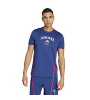 Adidas JI6353 D4T Heritage Erkek Spor Tişört (Mavi)