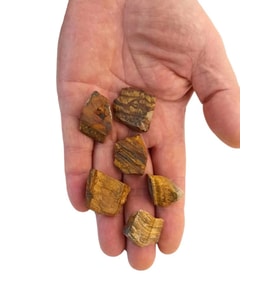 Doğal Kaplangözü Küçük Parçalar 50 Gram 430-2