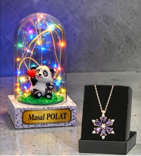 Size Özel Mutlu Pandalı Renkli Led Işıklı Fanus ve Gerçek Ametist Taşlı Lotus Kolye