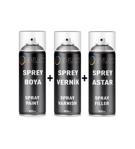 Renault Kangoo GNE Yıldız Siyah Sprey Rötuş Boyası+Vernik+Astar
