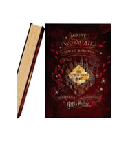 Harry Potter Kitap Görünümlü Dekoratif Kutu (Orta Boy)