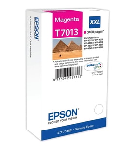 Tonersepeti Epson T7013XXL C13T70134010 Orjinal Kırmızı Kartuş