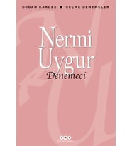 Denemeci