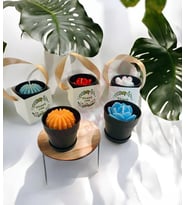 Mumelia Candles Mini Siyah Saksıda Kaktus - Doğal Soya Hediyelik Mum - 15 Adet