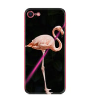 Apple iPhone 5 6 7 8 Plus Se XR Kılıf Desemli Silikon Line Filamingo 1776