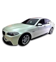 Bmw 5 Serisi F10 (2010 - 2017) Yan Marşpiyel Altı Lip (Plastik)