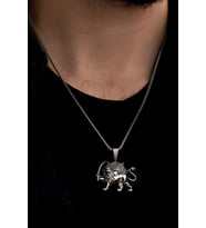 Erkek Gümüş Kolye - İran Pehlevi Aslanı Gümüş Kolye