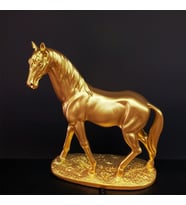 Gold Renk At Biblosu