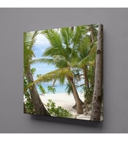 PALMİYE AĞAÇLARI KANVAS TABLO 100x100cm (Karışık)