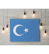 Doğu Türkistan Bayrağı Kanvas Tablo 40x55cm Dekoratif Tablo