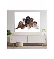 Köpek Kardeşliği Temalı Kanvas Tablo