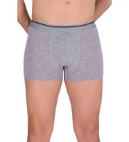 Likralı Erkek Boxer Şort Gri 1097B