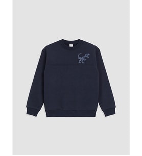 LCW Kids Lacivert Nakışlı Erkek Çocuk Kalın Sweatshirt